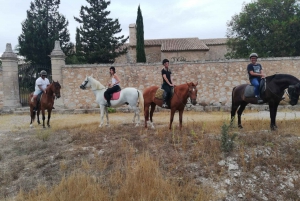 Mallorca: Horse Riding Tour Through Randa Valley
