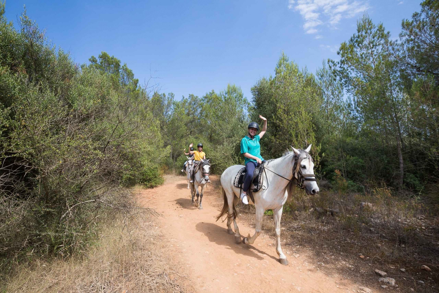 Mallorca: Horseback Riding Excursion and Wine Tasting