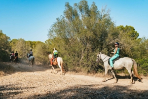 Mallorca: Utflykt med ridning och vinprovning
