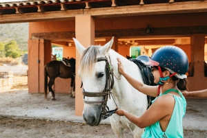 Mallorca: Utflykt med ridning och vinprovning