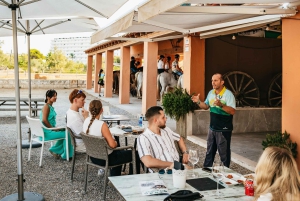 Mallorca: Utflykt med ridning och vinprovning