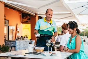 Mallorca: Utflykt med ridning och vinprovning