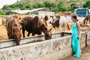 Mallorca: Utflykt med ridning och vinprovning