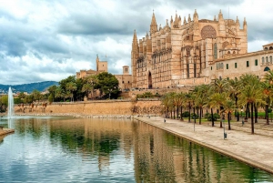 Mallorca Hotels to Palma Airport Private Transfer