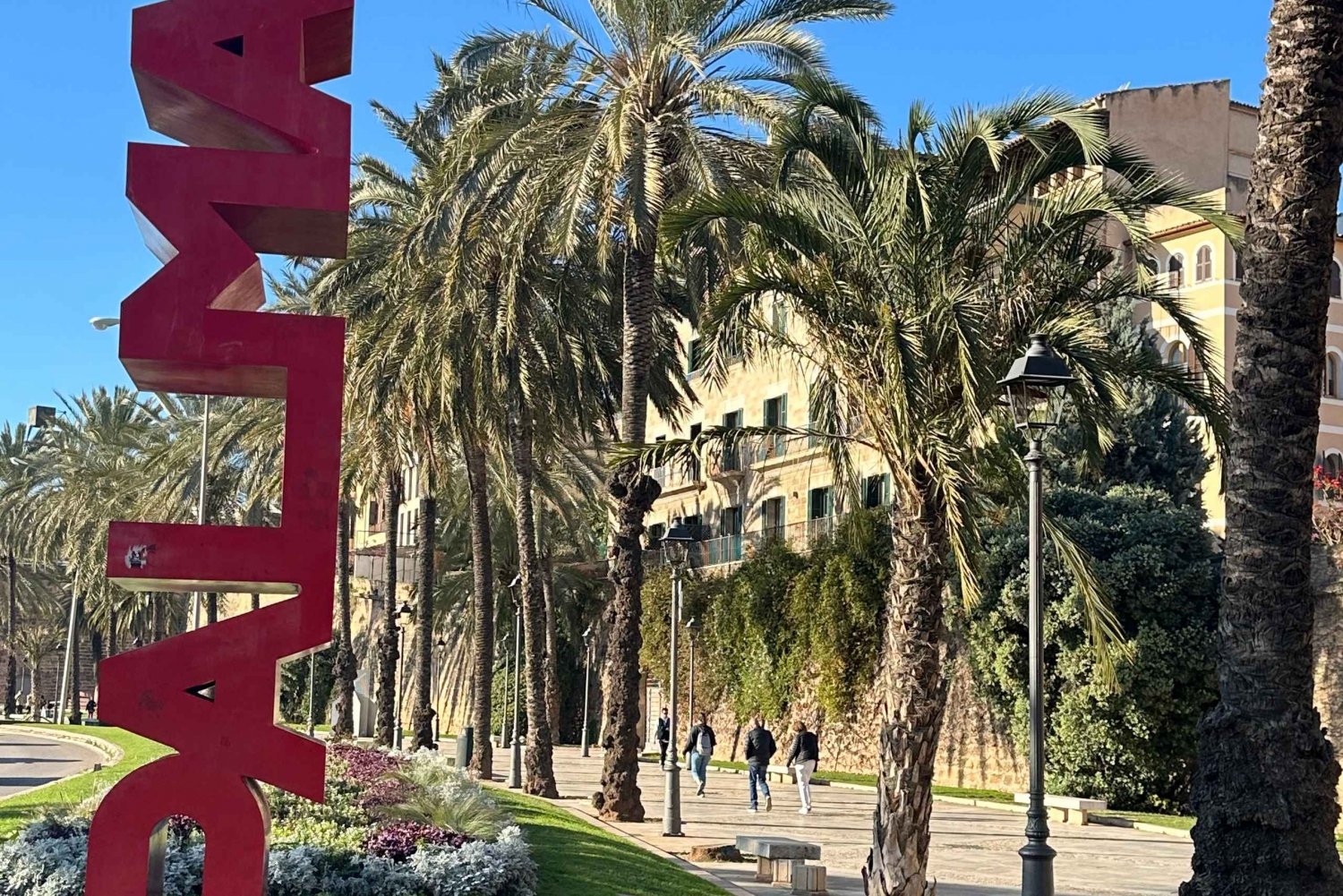 Mallorca: individually guided hiking tours, city, coast, almond blossom