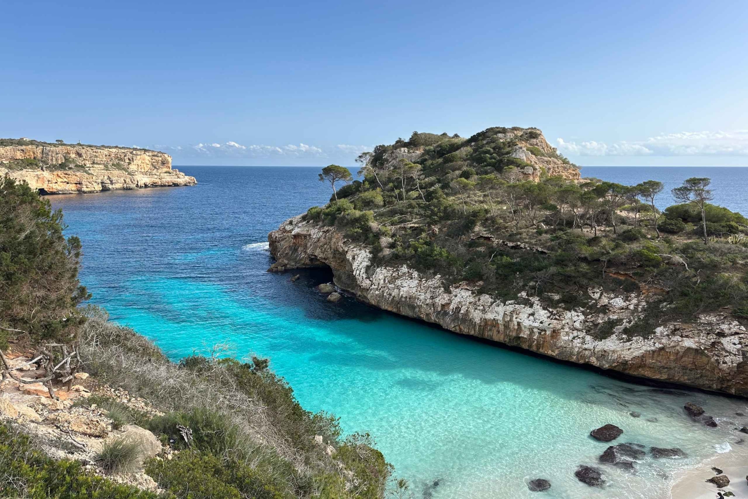 Mallorca: individuellt guidade vandringsturer, stad, kust, mandelblomma