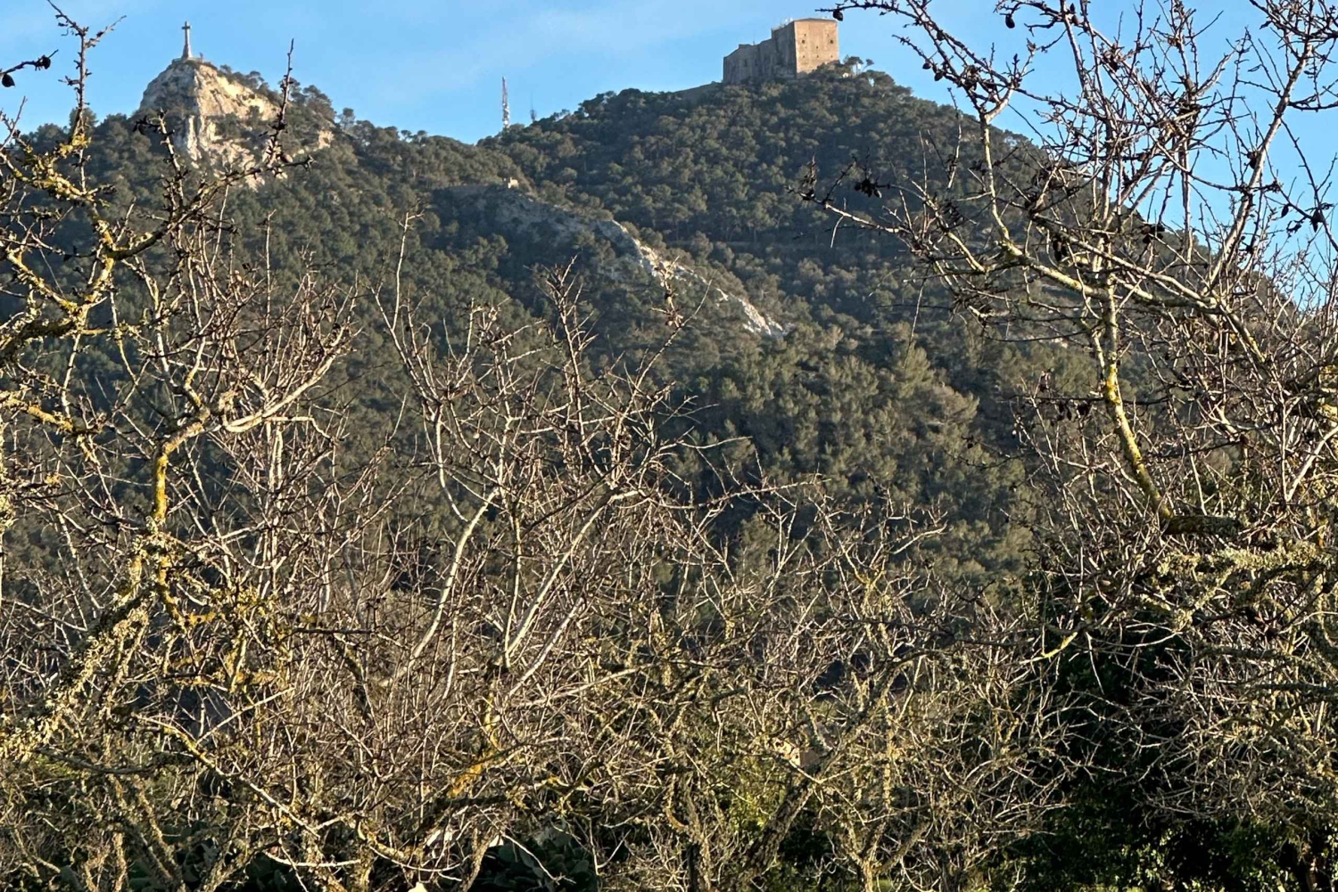 Mallorca: individuellt guidade vandringsturer, stad, kust, mandelblomma