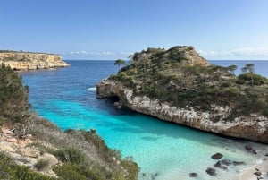 Maiorca: caminhadas guiadas individualmente, cidade, costa, amendoeiras em flor