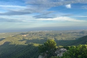 Maiorca: caminhadas guiadas individualmente, cidade, costa, amendoeiras em flor
