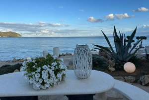 Maiorca: caminhadas guiadas individualmente, cidade, costa, amendoeiras em flor