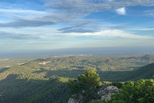 Mallorca: individuellt guidade vandringsturer, stad, kust, mandelblomma