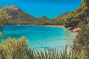 Maiorca: Tour Instafamous por Palma e pela costa norte