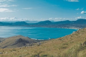 Maiorca: Tour Instafamous por Palma e pela costa norte