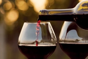 Maiorca: Tour Instafamous por Palma e pela costa norte