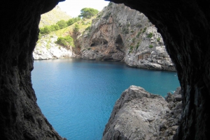 Mallorca: Island Tour with Boat & Train Ride from North/East
