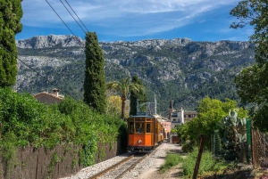 Mallorca: Island Tour w/ Boat & Train Ride from North & East