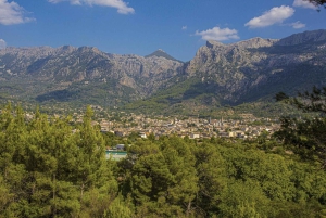 Mallorca-øytur med båt, tog, trikk og buss