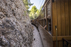 Mallorca-øytur med båt, tog, trikk og buss