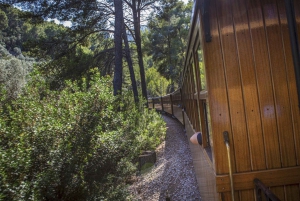 Mallorca-øytur med båt, tog, trikk og buss