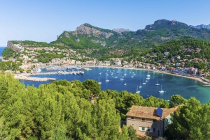 Mallorca-øytur med båt, tog, trikk og buss