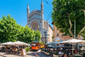 Mallorca: Eilandtour met boot, tram en trein vanuit het zuiden