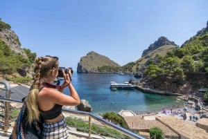 Majorka: wycieczka po wyspie łodzią, tramwajem i pociągiem z południa