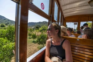 Island Tour with Boat, Tram & Train from the South