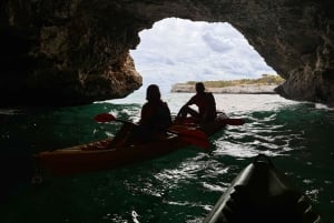 Mallorca: Kayak and Paddle Surf excursion through crystal clear water caves