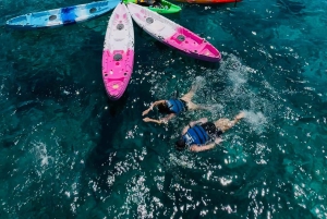 Maiorca: escursione in kayak e paddle surf tra grotte dall'acqua cristallina