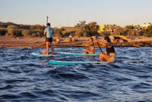 Mallorca: Passeio de caiaque ao pôr do sol na praia de Ca'n Pastilla