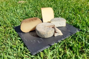 Mallorca: Local Wines & Foods Tasting