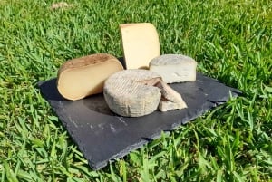 Mallorca: Local Wines & Foods Tasting