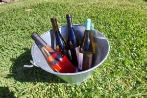 Mallorca: Local Wines & Foods Tasting