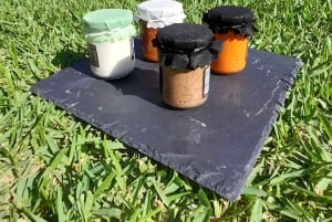 Mallorca: Local Wines & Foods Tasting