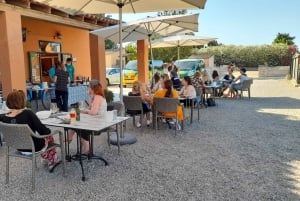 Mallorca: Local Wines & Foods Tasting