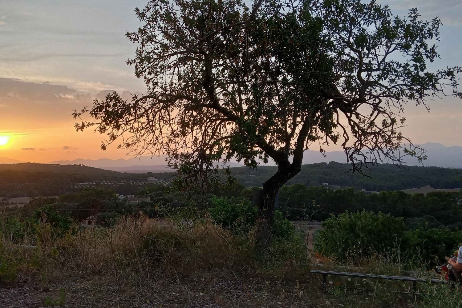 Majorque : Promenade à cheval au coucher du soleil avec boissons