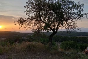 Majorque : Promenade à cheval au coucher du soleil avec boissons