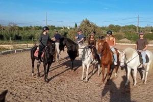 Majorque : Promenade à cheval au coucher du soleil avec boissons