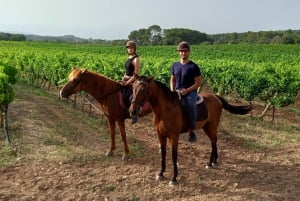 Majorque : Promenade à cheval au coucher du soleil avec boissons
