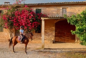 Majorque : Promenade à cheval au coucher du soleil avec boissons
