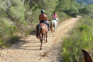 Majorque : Promenade à cheval au coucher du soleil avec boissons
