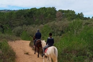 Majorque : Promenade à cheval au coucher du soleil avec boissons