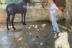 Majorque : Promenade à cheval au coucher du soleil avec boissons