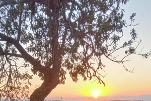 Mallorca: , Mallorcansk solnedgång, ridning, med drycker