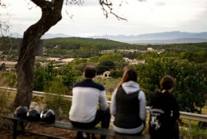 Mallorca: , Mallorcansk solnedgång, ridning, med drycker