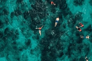 Mallorcas marina reservat: Besök grottor, klippor och snorkling