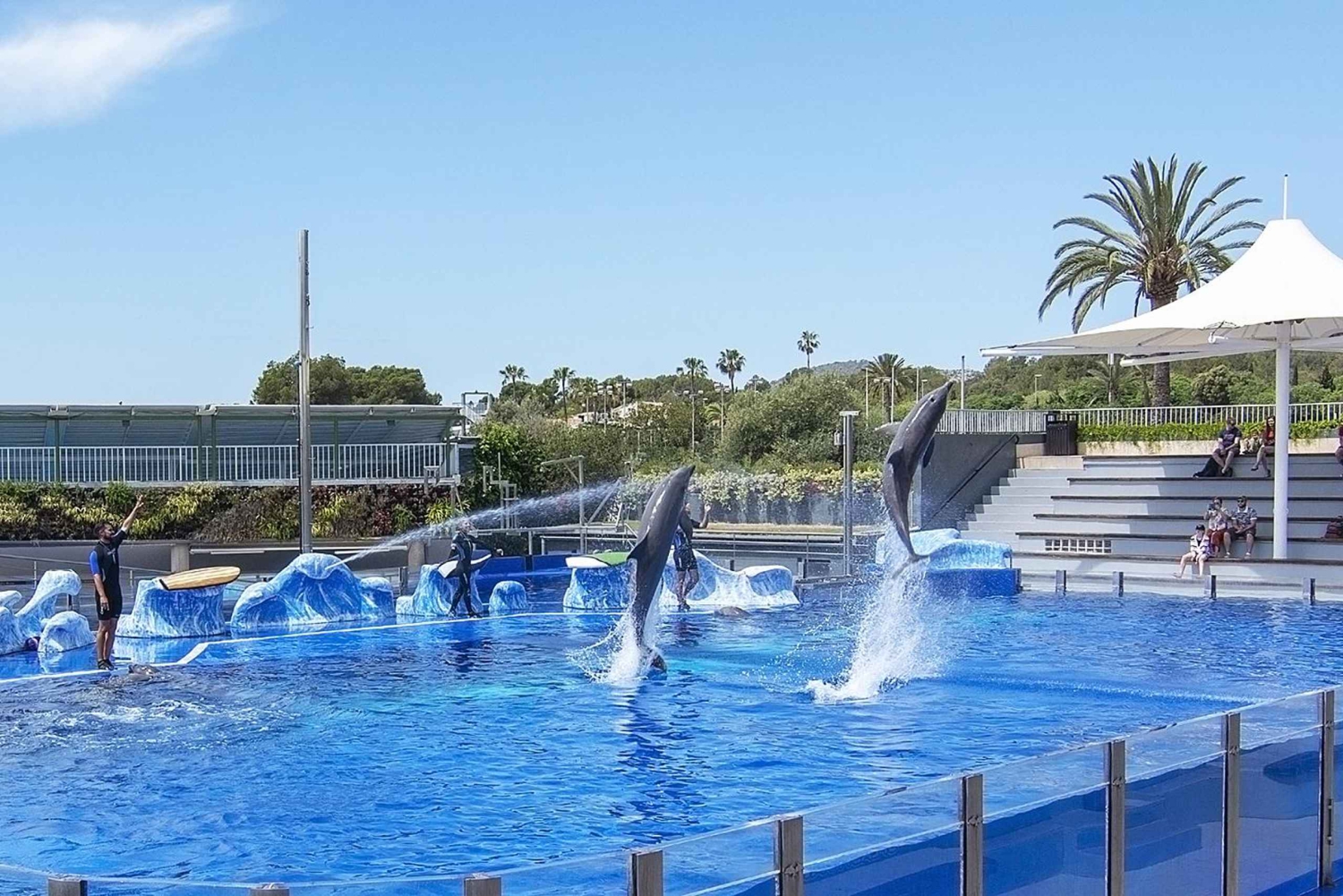 マヨルカ北部からの送迎付きマリンランドチケット