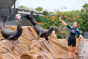 Majorque : billets pour Marineland et trajets depuis le Nord