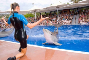 Majorque : billets pour Marineland et trajets depuis le Nord