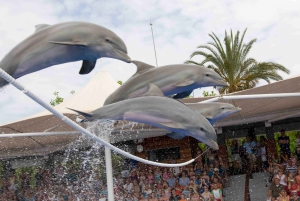 Majorque : billets pour Marineland et trajets depuis le Nord